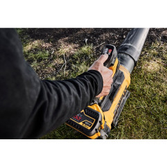 Souffleur Axial DeWALT DCMBL777X1-QW